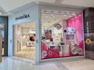 Acompanhamento Técnico - Pandora