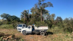 Supressão de Vegetação